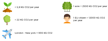 Nature and our environment being one of the greatest treasures for humanity are daily destroyed by human beings. How Much Carbon Does One Tree Absorb Carbonpirates