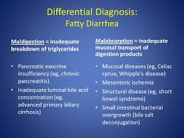 13:58, tue, apr 21, 2020 | updated: Chronic Diarrhea Differential Diagnosis And Treatment Ppt Video Online Download