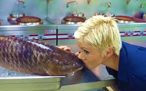 141 resep ikan sungai ala rumahan yang mudah dan enak dari komunitas memasak terbesar dunia! Ikan Empurau Ikan Paling Mahal Dalam Malaysia Iluminasi