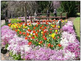 Nasib baik boleh tengok movie online. Araluen Botanic Park Tourist Sites Around The World