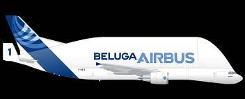 Airbus uses beluga aircraft for transporting large assembled sections of the fuselage and wings of beluga has regularly transported the fuselage of an a340, the wings of the airbus a340 or two. Belugast Freighter Aircraft Airbus