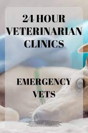 24 Hour Animal Hospital Emergency Vet Hospitals Emergency Vet Emergency Vet Clinic Animal Hospital