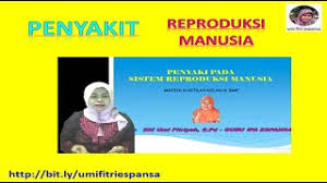 Mereka juga menyimpulkan bahwa penularan dari manusia ke manusia yang berkelanjutan tidak harus dikesampingkan. Bab 1 Penyakit Pada Sistem Reproduksi Manusia Materi Ipa Kelas 9 Smp Semester 1 Youtube