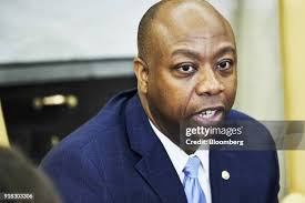 273 Scott Kirkpatrick Stock Photos, High-Res Pictures, and Images