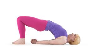 Bird Of Paradise Yoga Pose Modifications Bridge Easy Yoga Poses Inversions Yoga Poses Yoga Poses