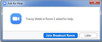Zoom breakout rooms ask for help. Centre For Fusion Learning Innovation And Excellence Using Breakout Rooms In Zoom