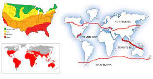 Each year, termites cause more than $5 billion in property damage. Termites Geographical Distribution World Usa 1550x800 Termites Termite Bait Termite Control
