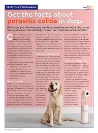 Client Handout Get The Facts About Parasitic Colitis In Dogs