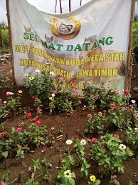 Dusun dresel desa oro oro ombo. Sewa Mobil Surabaya 3 Jaya Rent Car Peternakan Kuda Mega Star