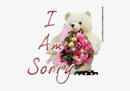 With these amazing apology flowers though, we guarantee your remorse and caring will shine through. Im Sorry Wallpaper Sorry Teddy And Flowers Transparent Png 500x500 Free Download On Nicepng
