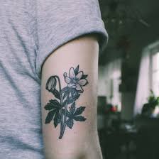 Anemone Flower Tattoo Black And White Black And White Dotwork Flower Tattoo Wood Anemone Botanical Drawing My Tattoo Dotwork Tatuering Snygga Tatueringar Black