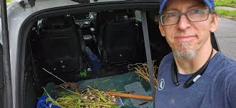 The other morning I finished harvesting this "sacred garlic" that Jeremy,  my cousin Lindsay Devine's husband, gave me to plant this Spring. It was a  wet day but I was eager to