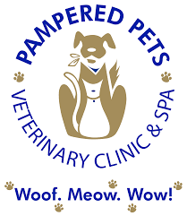 We understand that pet care can be complicated, but our staff is committed to being your partner in your pet's health care. Veterinarian In Edmond Ok Pampered Pets Veterinary Clinic And Spa