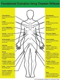 12 Best Chapmans Reflex Points Images Massage Therapy