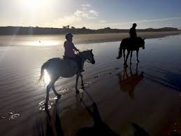 Des services de proximité pour vous accompagner dans vos démarches. A Brilliant Family Holiday In The Vendee France