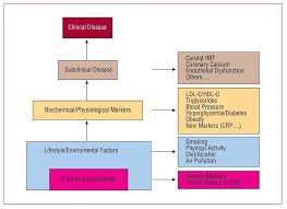 One of these conditions is coronary artery disease, excessive plaque buildup in the arteries that deliver oxygenated blood to your heart tissues. Cardiovascular Risk Factors Insights From Framingham Heart Study Revista Espanola De Cardiologia