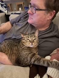 Ella es Max, su canción favorita es God's Meownu y su bias es (obvio) el  mismísimo Cat Butler ❤️ : r/straykids