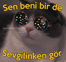 Ehngwsjgsjetjetjtw Cilgin Arkadaslar Komik Capsler Komik Seyler