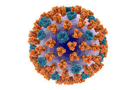 Rsv is a common cause of bronchiolitis and pneumonia in children under one year old, and may trigger symptoms in children with asthma. Respiratory Syncytial Virus Glycoprotein G The Native Antigen Company
