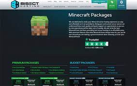 No swearing(cussing) you cannot kill other players no abusing commands (if opped) no greifing ever the penalty to. Top 10 Best Minecraft Server Hosting Providers 2021 Mamboserver