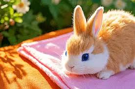 EDWIN KINSLEY SHRIVER, 61, 1616-B Weber St.,…