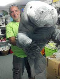 Life Sized Plush Manatee Manatee Dinosaur Stuffed Animal Sea Cow