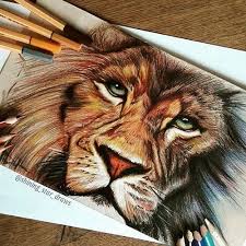 Imagem De Art Drawing And Lion Color Pencil Art Realistic Art Prismacolor Art