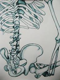 Assignment Draw A Section Of A Skeleton And Render It With Brush And Ink Objectives The Student Will Use Observatio Art Classroom Art Lessons Teaching Art