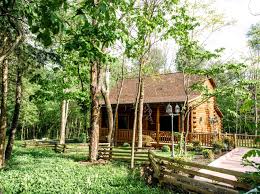 Check spelling or type a new query. Cabin Rental Near Shenandoah National Park Virginia