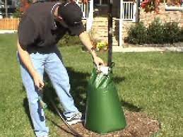 Plastic bags are contributing to global warming. Treegator Original Slow Release Watering Bag For Trees Youtube