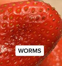 For those who have always wanted to know what things look like under a microscope. Videos Showing Bugs Crawling Out Of Strawberries Might Put You Off For Life Mirror Online