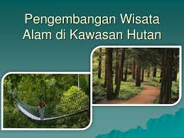 Potensi mangrove sebagai ekowisata memiliki produk wisata unggulan yang dapat dikembangkan melalui pengelolaan sumberdaya pariwisata yang ada. Ppt Pengembangan Wisata Alam Di Kawasan Hutan Powerpoint Presentation Id 6780284