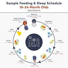 Maybe you would like to learn more about one of these? Baby Feeding Schedules By Month From 6 To 24 Months Solid Starts