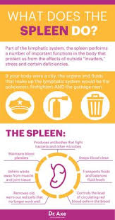 Pin On Health