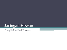 Download awesome powerpoint backgrounds for microsoft powerpoint presentations with attractive slide designs and catchy backgrounds that you can use to impress your audience. Ppt Jaringan Hewan