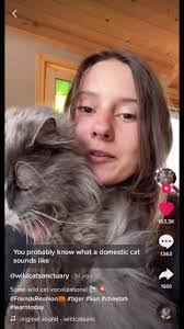 Mitchell Flores's Instagram, Twitter & Facebook