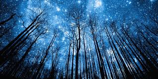 Image result for oración a  las estrellas