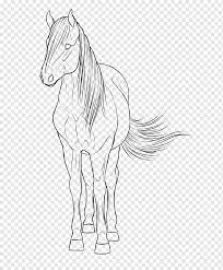 Maybe you would like to learn more about one of these? Mane Pony Mustang Stallion Sketch Mustang Horse Monochrome Horse Tack Png Pngwing