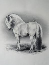 Fjordenpony Horse Art Ideas Fjord Horse Horse Art Drawing