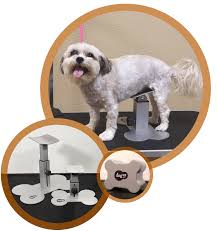 He will take comfort in knowing you place a towel on the bottom of the tub to give your dog a safe cushion to stand on while taking his bath. Dogup Stand Keeps Dogs From Sitting While Grooming