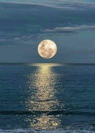 Country road to the moon.oh fly me to the moon, down the road to my home. Anochecer Nature Photography Beautiful Nature Beautiful Moon