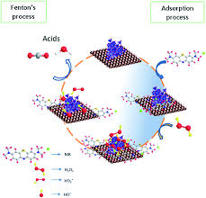 Adsorption is the process of transferring material from a fluid phase to a solid phase. Influence Of Lattice Strain On Fe3o4 Carbon Catalyst For The Destruction Of Organic Dye In Polluted Water Using A Combined Adsorption And Fenton Process Rsc Advances Rsc Publishing