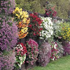 This product cannot be ordered at the moment. 18 Flower Hanging Bags Ideas In 2021 Plants Garden Design Flower Garden