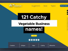 Use these 7 different unique business name ideas. 121 Vegetable Shop Name Ideas For Your Vegetable Business Tiplance