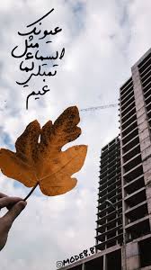 Pin By Mohammad Assem محمد عاصم On التأمل Picture Quotes Pictures Moose Art