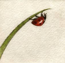 Flowers and ladybug by scottytat. Ladybug Beetle Painting Art By Melanie Fain Lady Bug Tattoo Lady Bug Drawing Insect Art