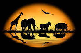 Check spelling or type a new query. Silhouette African Animals On The Stock Image Colourbox
