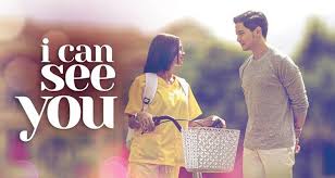 Deeds/grown ups/here comes the boom/just go with it/paul blart: Gma S I Can See You Premiered On Netflix Philippines On February 15 English