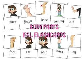 Look at the picture and click on the right word. Esl Printable Flashcard Set Pdf Body Parts Tefl Lemon Free Esl Lesson Ideas And Great Content For Tefl Teachers