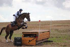 Select from premium vielseitigkeitsreiten of the highest quality. Sicherheit In Der Vielseitigkeit Gibt Es Das Hindernis Der Zukunft Club Deutscher Vielseitigkeitsreiter